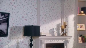 Poster for Episode 51 Poster for Episode 51