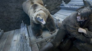 Poster for The Bear and the Maiden Fair