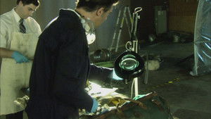 Poster for Fanning the Flames