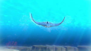 Poster for Manta Ray