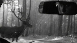 Poster for The Proud Years (1967-1969)