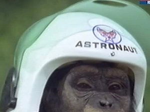 Poster for Judy and the Astro-Chimp
