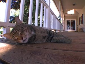 Poster for Calm and Chaos