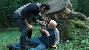 Poster for Episode 8