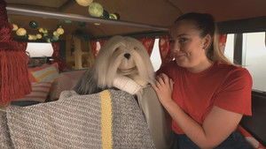 Poster for Episode 19