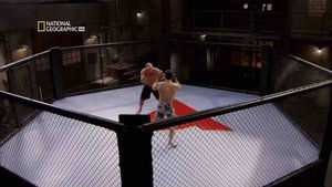 Poster for Mixed Martial Arts