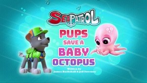 Poster for Sea Patrol: Pups Save a Baby Octopus