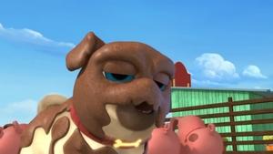 Poster for Pigs And Pugs