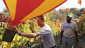 Poster for Tears of a Clown