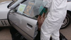 Poster for Stinky Car