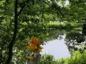 Poster for Episode 7