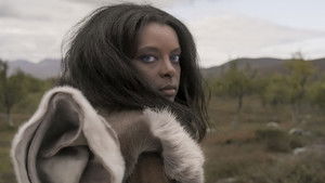 Poster for The Stone Age, circa 14 500 BC-3700 BC