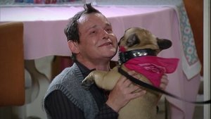 Poster for Chapter 53 Poster for Chapter 53