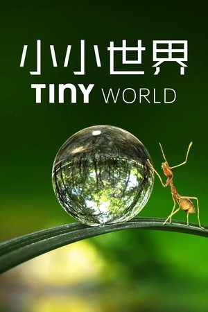 Tiny World