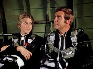 Poster for The Return of the Bionic Woman (2)