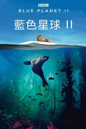 蓝色星球 2