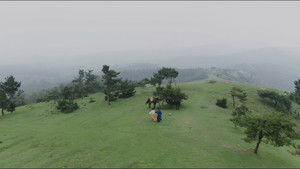 Poster for Traveling South Poster for Traveling South