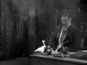 Poster for Herman Munster, Shutter Bug