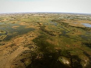 Poster for Okavango: Water in the Desert