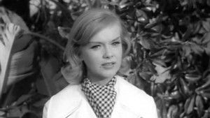 Poster for Little Green Robin Hood