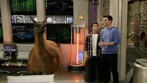 Poster for Llama Drama