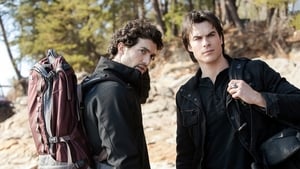 Poster for Into the Wild