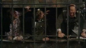 Poster for Herr Flick's Revenge