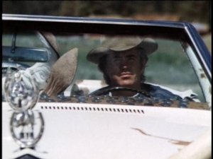 Poster for Country Blues