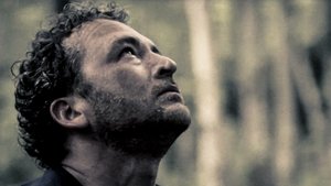 Poster for Wounds (1)
