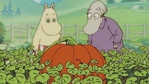 Poster for The Giant Pumpkin