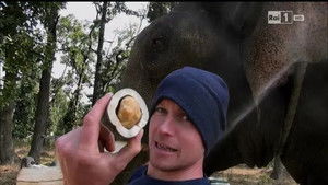 Poster for Episode 8 Poster for Episode 8