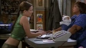 Poster for Dog Days