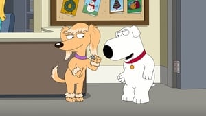 Poster for Boy (Dog) Meets Girl (Dog)