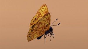 Poster for Butterflies