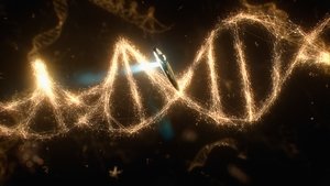 Poster for Some of the Things that Molecules Do