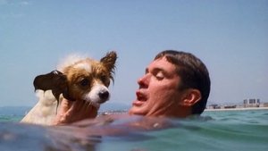 Poster for The Swimmer