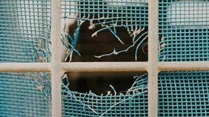 Poster for Turn Lepht