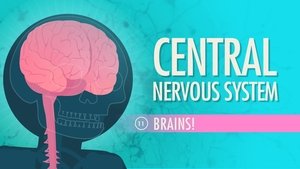 Poster for Central Nervous System