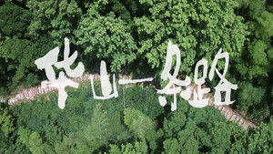 Poster for Episode 17