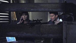 Poster for The Killer in the Crosshairs