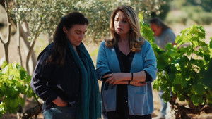 Poster for Episode 177 Poster for Episode 177