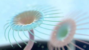 Poster for The Other Side