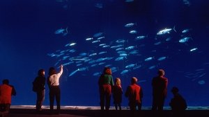 Poster for Oceans in Glass: Behind the Scenes of the Monterey Bay Aquarium