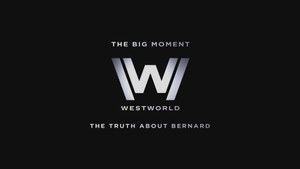 Poster for The Big Moment: The Truth About Bernard