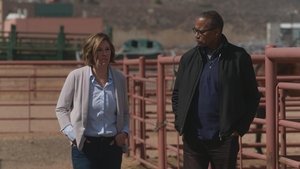 Poster for Bird Flu; Demis Hassabis; Flight of the Monarchs Poster for Bird Flu; Demis Hassabis; Flight of the Monarchs