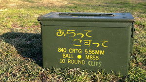 Poster for Wash and Scrub!