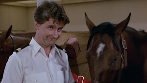 Poster for Secretary to the Stars/Julie's Decision/The Horse Lover/Gopher and Isaac Buy a Horse