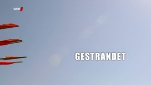 Poster for Episode 1