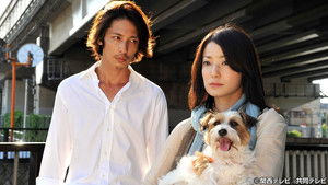 Poster for The Curtain of Revenge Opens! Poster for The Curtain of Revenge Opens!