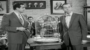Poster for The Case of the Perjured Parrot